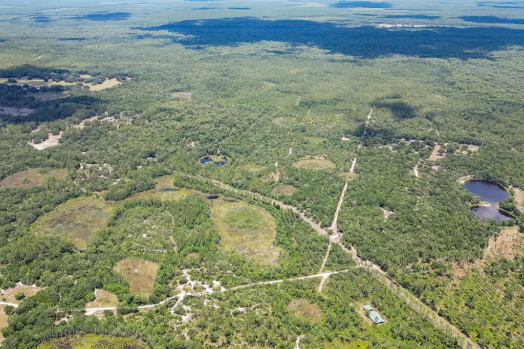 Aerial view of Florida Land for Sale in Marion County