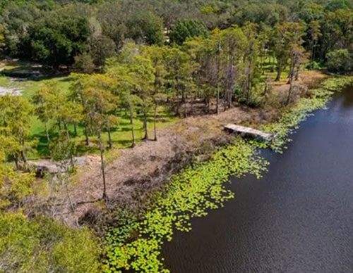 Investing in Florida Land: A Lucrative Opportunity