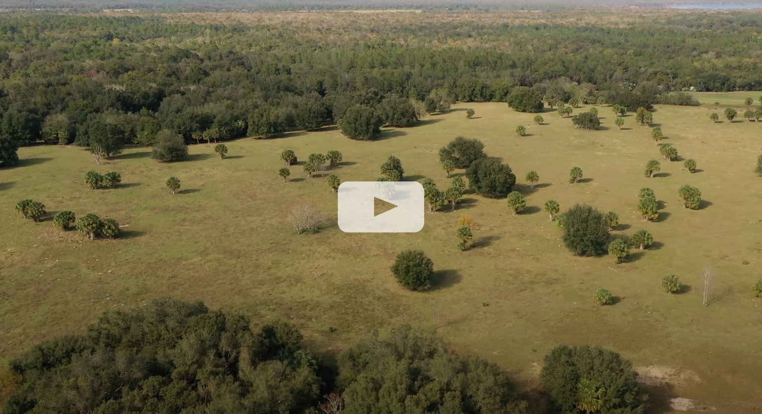 Seven generations of Florida land stewards.